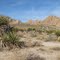 Indian Cove Campground