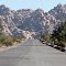 Joshua Tree