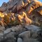 Joshua Tree