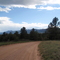 Pike National Forest
