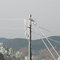 Iced Wires - Colorado - USA