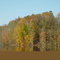 Pine creek in Fall