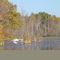 Swans on Pine http://www.panoramio.com/upload/#Creek