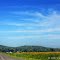 Gun Plain Summer