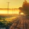 114th Ave in the Rising Sunlight