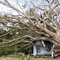 Hurricane Charley hit Little blue house