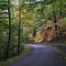 Fall in Percy Warner Park