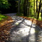 Percy Warner Park