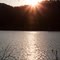 Bells Bend Green Way, tn