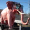 The Pink Elephant