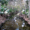 View from Bridge Over Stream