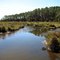 View of marsh from bridge area