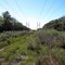 Powerlines over Bulow Creek