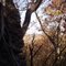 Cliffs along the little Caney.