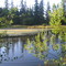 Brown's Ferry Park