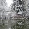 Panorama: Tualatin River in the Winter