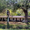 2009 Along Florida US 19 "Old motel"