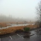 Wetlands after the December 2007 storm