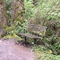 Bench on Wildwood Trail, Forest Park - Portland, Oregon.