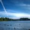 "Vive eternamente quien vive en el presente* Eternal life who lives in the present"(Ludwig Wittgenstein),Milwaukie.Oregon
