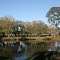 Duck Pond