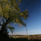 Field south of Paris MO