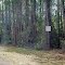 2012, Florida Rte 11, southbound