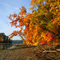 West Branch State Park, Ohio