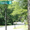 corner Springwood and Oakhill
