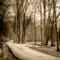 Indain Creek Perserve