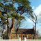 Pioneer House