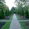 Formal Gardens
