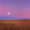 High Desert Moonrise