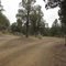 End of Steelhead Falls campground road