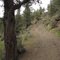 Foley Waters road/trail