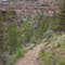 Along the trail to Steelhead Falls
