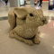Rabbit!?(1.3.08)