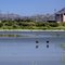 Clark County Wetlands Park and Sam Boyd Stadium