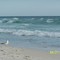 Panama City Beach