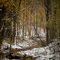 Elk Run Tributary