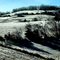 Frosty Morning, VA - 2006
