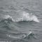 Colliding Waves