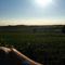 Wisconsin Field