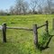 Caney Trails