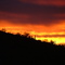 Sonoran Desert sunset
