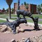 Arizona Wildcats, in University of Arizona, Tucson, AZ
