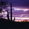 Tucson Sunset