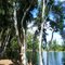 MY LAKE,YOUR LAKE.