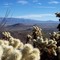 Image of Tucson, AZ from Cat Mountain