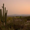 Tucson, Arizon at Sunset